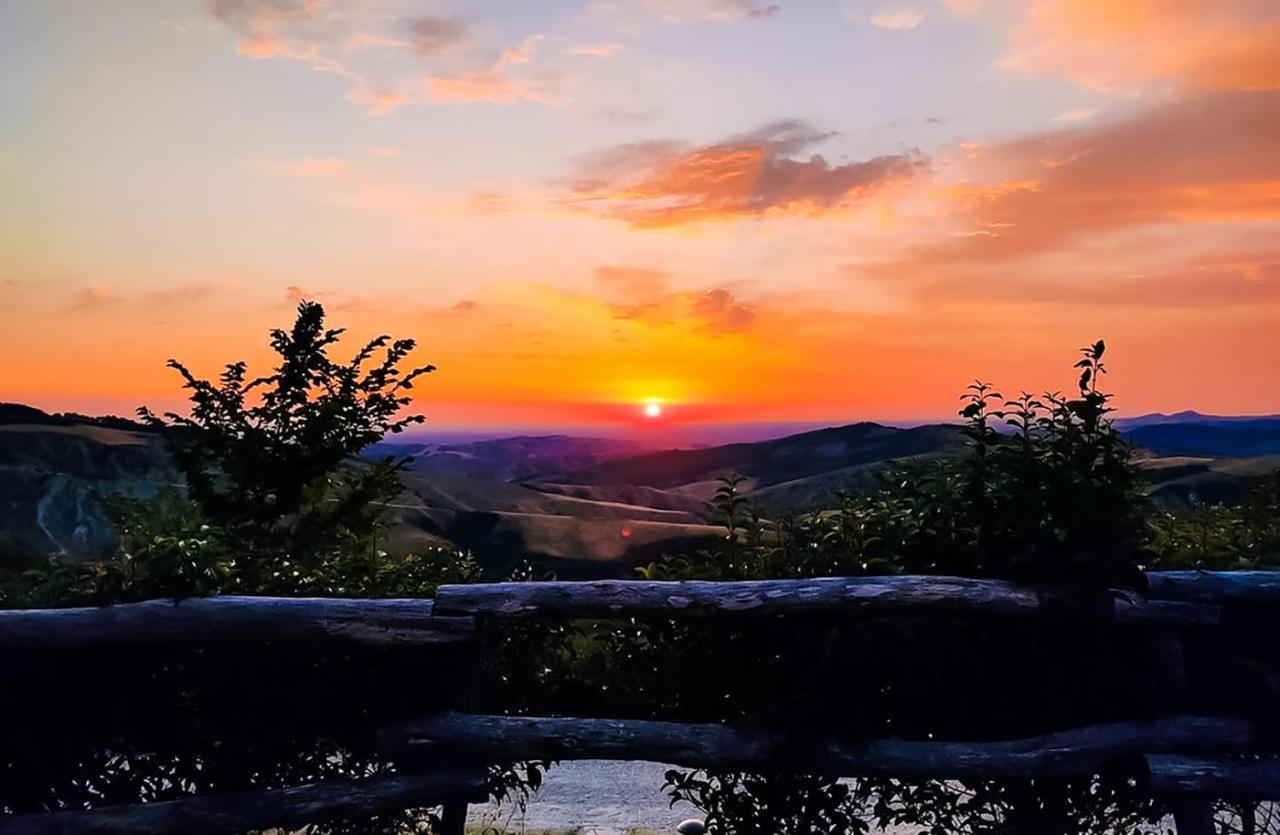 La Luna Sul Trebbio 모디글리아나 외부 사진