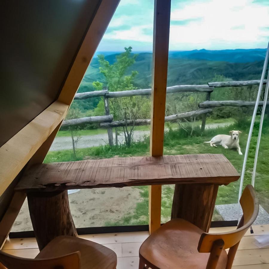 La Luna Sul Trebbio 모디글리아나 외부 사진