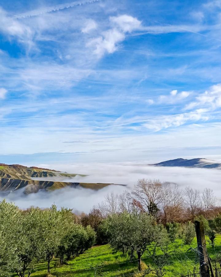 La Luna Sul Trebbio 모디글리아나 외부 사진